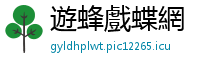 遊蜂戲蝶網